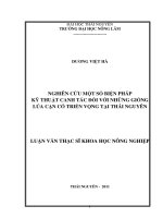 Nghiên Cứu Một Số Biện Pháp Kỹ Thuật Canh Tác Đối Với Những Giống Lúa Cạn Có Triển Vọng Tại Thái Nguyên