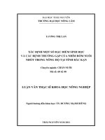 Xác Định Một Số Đặc Điểm Sinh Học  Và Các Bệnh Thường Gặp Của Nhím Bờm Nuôi Nhốt Trong Nông Hộ Tại Tỉnh Bắc Kạn