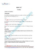 Các loại động từ cơ bản và đặc điểm của chúng (Types of Verbs)