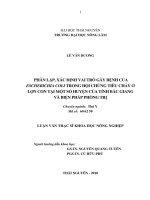 Phân Lập, Xác Định Vai Trò Gây Bệnh Của Escherichia Coli Trong Hội Chứng Tiêu Chảy Ở Lợn Con Tại Một Số Huyện Của Tỉnh Bắc Giang Và Biện Pháp Phòng Trị