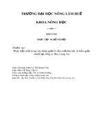 báo cáo thực tập nghề nghiệp  thực hiện một trong các khâu quản lí sản xuất,thu hái và bảo quản chuối tại công ty huy long an