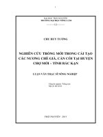 Nghiên Cứu Trồng Mới Trong Cải Tạo Các Nương Chè Già, Cằn Cỗi Tại Huyện Chợ Mới – Tỉnh Bắc Kạn