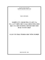 Nghiên Cứu Ảnh Hưởng Của Bức Xạ Tia Γ (CO60) Trên Chè Và Đặc Điểm Nông Sinh Học Của Một Số Dòng Chè Đột Biến Mới Được Tuyển Chọn
