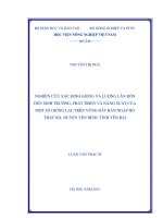 nghiên cứu xác định giống và lượng lân bón đến sinh trưởng, phát triển và năng suất của một số giống lạc trên vùng đất bán ngập hồ thác bà, huyện yên bình, tỉnh yên bái 