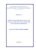 nghiên cứu một số biện pháp kỹ thuật canh tác nâng cao hiệu quả sản xuất giống nghệ vàng n8 cho một số tỉnh phía bắc 
