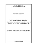 Xác Định Vai Trò Gây Tiêu Chảy  Của Vi Khuẩn Escherichia Coli Trên Ngan, Vịt  Tại Tỉnh Bắc Giang Và Biện Pháp Điều Trị