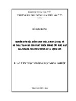 Nghiên Cứu Đặc Điểm Sinh Thái, Sinh Vật Học Và Kỹ Thuật Tạo Cây Con Phát Triển Trồng Cây Mắc Mật (Clausena Excavata Burm.L) Tại Lạng Sơn