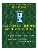 HOẠT CHẤT CHỐNG LÃO HÓA TỪ THIÊN NHIÊN