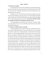 SKKN  PP TOA DO GIAI HINH HOC KHONG GIAN