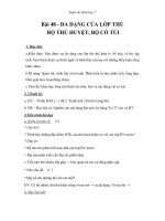 giáo án sinh học 7 bài 48  đa dạng của lớp thú, bộ thú huyệt, bộ thú túi