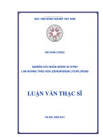 nghiên cứu nhân giống in vitro lan hoàng thảo kèn (dendrobium lituiflorum) 