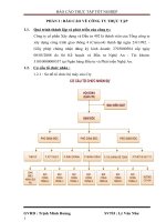 MẪU báo cáo TTTN cầu như