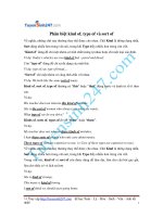 phân biệt kind of type of va sort of