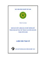 đánh giá chất lượng rau và môi trường đất trong sản xuất rau tập trung tại huyện hoài đức thành phố hà nội 