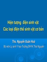 Các loại điện thế trong sinh vật