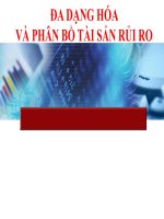 Đầu tư tài chính đa dạng hóa và phân bố tài sản rủi ro