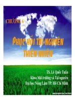 Bài giảng công nghệ sinh học môi trường   chương 6  phục hồi tài nguyên thiên nhiên