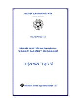 giải pháp phát triển nguồn nhân lực tại công ty bảo hiểm pvi bắc sông hồng 