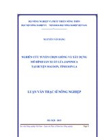 nghiên cứu tuyển chọn giống và xây dựng mô hình sản xuất lúa japonica tại huyện mai sơn, tỉnh sơn la 