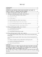 Luận văn kế toán nguyên vật liệu, công cụ dụng cụ tại công ty cổ phần xây lắp đầu tư và phát triển nông lâm nghiệp việt nam