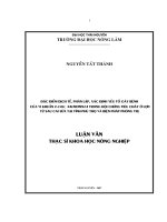 Đặc Điểm Dịch Tễ, Phân Lập, Xác Định Yếu Tố Gây Bệnh Của Vi Khuẩn E.Coli, Salmonella Trong Hội Chứng Tiêu Chảy Ở Lợn Từ Sau Cai Sữa Tại Tỉnh Phú Thọ Và Biện Pháp Phòng Trị