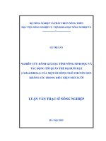 nghiên cứu đánh giá đặc tính nông sinh học và tác động tới quần thể bọ đuôi bật (collembola) của một số dòng ngô chuyển gen kháng sâu trong điều kiện nhà lưới 