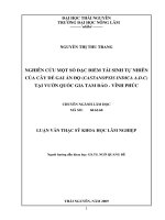 Nghiên Cứu Một Số Đặc Điểm Tái Sinh Tự Nhiên Của Cây Dẻ Gai Ấn Độ (Castanopsis Indica A.D.C) Tại Vườn Quốc Gia Tam Đảo - Vĩnh Phúc