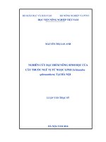 nghiên cứu đặc điểm nông sinh học của cây thuốc ngũ vị tử ngọc linh (schisandra sphenanthera) tại hà nội 