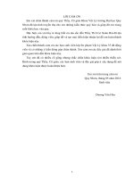 Hệ thống lý thuyết và bài tập phần Từ trường trong chương trình vật lý THPT