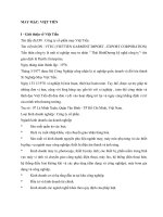 Mục tiêu chiến lược của tổng công ty cổ phần may việt tiến