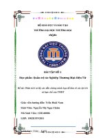 Phân tích và lấy các dẫn chứng minh họa để làm rõ các lợi ích và hạn chế của Thương mại điện tử