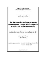 Tình Hình Bệnh Tiêu Chảy Ở Lợn Con Theo Mẹ Tại Tỉnh Vĩnh Phúc, Xác Định Yếu Tố Gây Bệnh Của Vi Khuẩn E.Coli Và Biện Pháp Phòng Trị