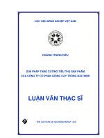 giải pháp tăng cường tiêu thụ sản phẩm của công ty cổ phần giống cây trồng bắc ninh 