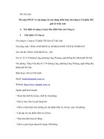 Ma trận STOW và vận dụng vào việc xây dựng chiến lược kinh doanh của công ty cổ phần thế giới số trần anh