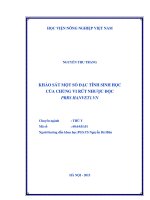 khảo sát một số đặc tính sinh học của chủng vi rút nhược độc prrs hanvet1 vn 
