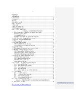 Tìm phương pháp bắt ong mật và nuôi ong bằng các vật liệu thùng muốt và chậu kiểng bằng đất nung, ở quy mô hộ gia đình