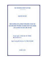 ảnh hưởng của lượng phân bón và mật độ cấy đến sinh trưởng và năng suất của giống lúa lai hq19 tại gia lâm, hà nội 