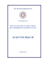 phân lập tuyển chọn các chủng vi khuẩn hòa tan phosphate và kali khó tan từ đất