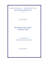 phát triển du lịch văn hóa tại tỉnh bắc ninh 