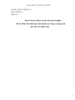 Phân tích chiến lược kinh doanh của công ty vàng bạc đá quý  bảo tín minh châu