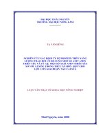 Xác Định Tỷ Lệ Protein Có Bổ Sung Một Số Axit Amin Thiết Yếu Và Tỷ Lệ Axit Amin Thiết Yếu So Với Lysine Trong Thức Ăn Hỗn Hợp Cho Lợn Con Giai Đoạn Sau Cai Sữa