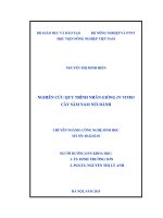 nghiên cứu quy trình nhân giống in vitro cây sâm nam núi dành 