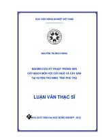 nghiên cứu kỹ thuật trồng xen cây mạch môn với cây ngô và cây sắn tại huyện phù ninh, tỉnh phú thọ 