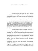 Ý tưởng kinh doanh caotuancuong 993 lần 2