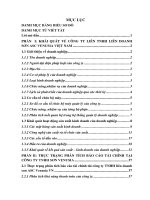 Luận văn phân tích báo cáo tài chính của công ty tnhh liên doanh sơn ASC venusia việt nam