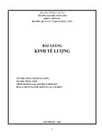 BÀI GIẢNG kinh tế lượng