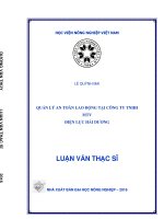 quản lý an toàn lao động tại công ty tnhh mtv điện lực hải dương 