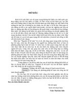 đồ án kế toán tài chính 2