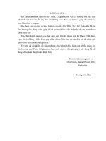 Hệ thống lý thuyết và bài tập phần từ trường trong chương trình vật lý THPT