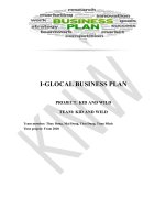 Business plan kid and wild care project (english version)